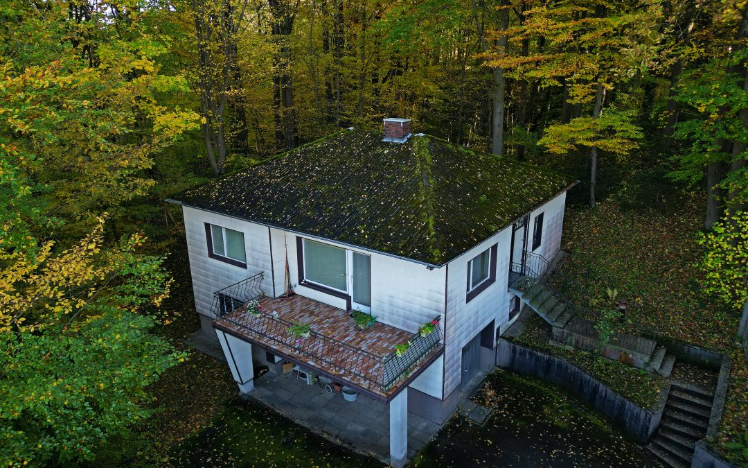 Haus auf großen Grundstück in Alleinlage mit herrlichen Ausblick in Steyr zu verkaufen